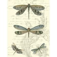 thumbnail image 2 of Vision Studio 19x24 White Modern Wood Framed Museum Art Print Titled - Dragonfly Delight I, 2 of 4