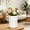 B-White, variant on Nordic Style Plastic Vase for Faux Flowers or Dried Arrangements, Lightweight Decorative Home Accent Cylinder Vessel for Indoor Shelf Table Centerpiece