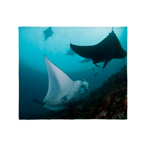 CafePress - Manta Rays Throw Blanket - Soft Fleece Throw Blanket, 50"x60" for All Ages