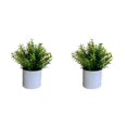 thumbnail image 1 of Wosthever 4 paquetes/lote fácil de limpiar planta falsa solución de bajo mantenimiento para plantas artificiales elegantes de interior Type3 NO3, 1 of 6