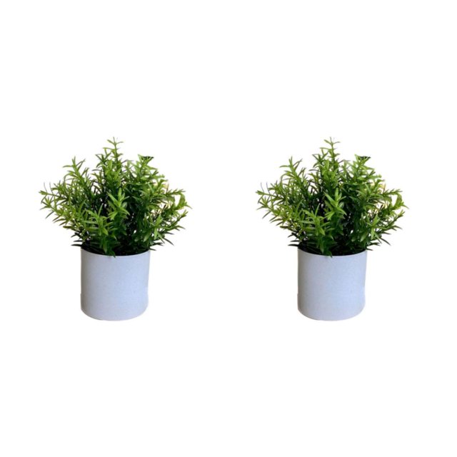 Wosthever 4 paquetes/lote fácil de limpiar planta falsa solución de bajo mantenimiento para plantas artificiales elegantes de interior Type3 NO3