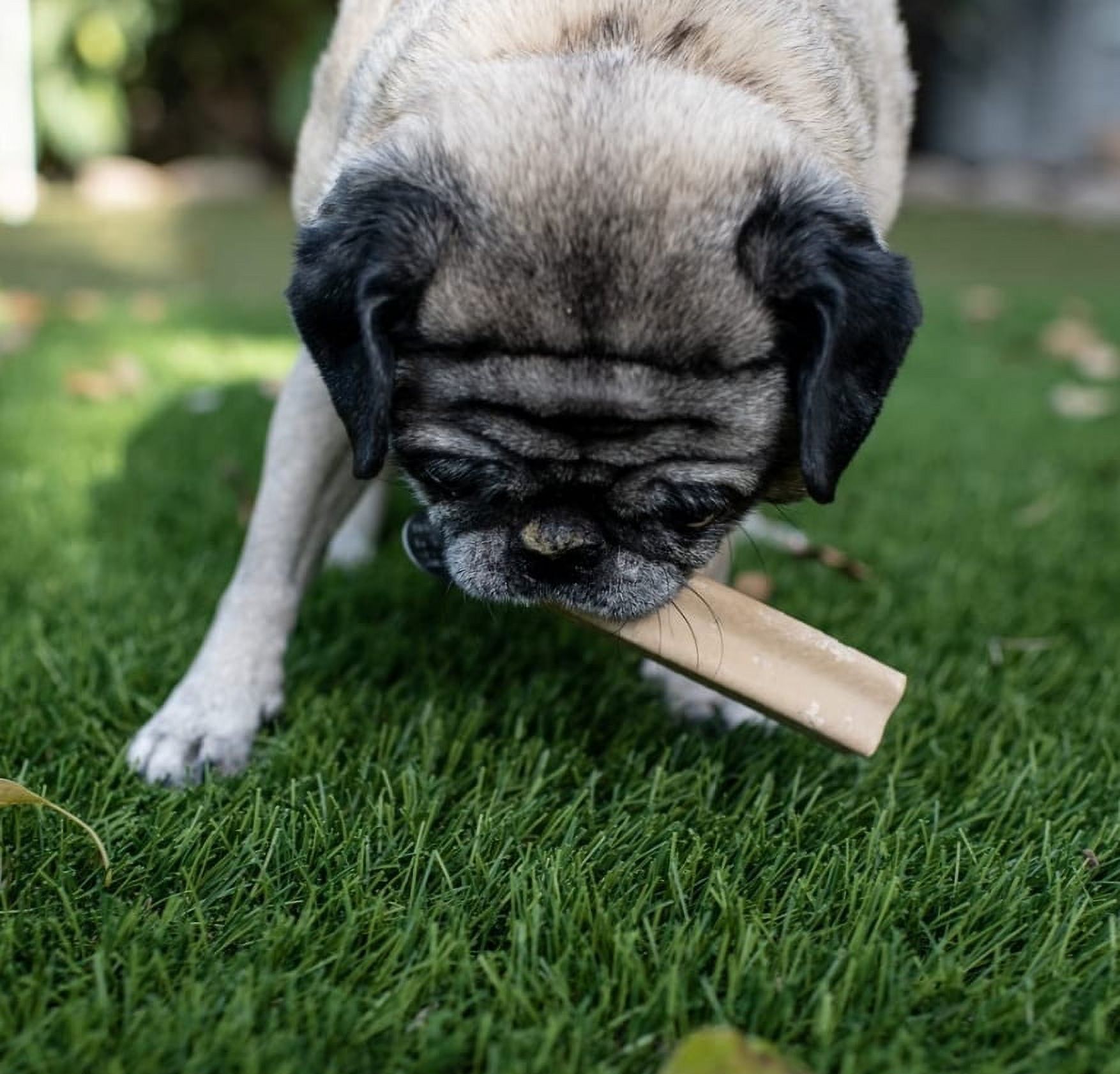 Loving Pets Chicken Yummy Bone Singles for Dogs, Pack of 1 Individually Wrapped Treat, (5065)