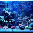 thumbnail image 4 of SOPOTUTU 8Pcs Stick on Thermometer Strips for Aquarium Fish Tanks with Clear Color Changing Temperature, 4 of 8