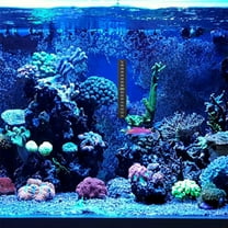 FRCOLOR  8 Pcs Adhesive Strip Thermometer Aquarium Temperature Sticker