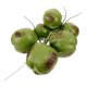 thumbnail image 1 of unbranded Coconuts Simulados De Plástico Para De Y Ambiente Tropical Festivo, 1 of 7