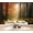 Color 3, variant on Wallpaper Mystical Forest Sunlight Filtering Trees Vintage Peel and Stick Wall Murals 100"H x 144"W Removable PVC Wall Paper Self-Adhesive Wall Paintings Art Decor for Bedroom Living Room