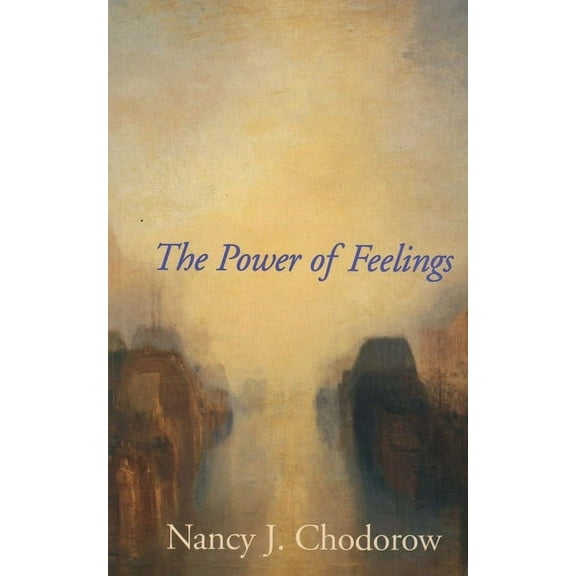 The Power of Feelings : Personal Meaning in Psychoanalysis, Gender, and Culture (Paperback)