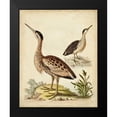 thumbnail image 2 of Edwards, George 12x14 Black Modern Framed Museum Art Print Titled - Antique Bird Menagerie III, 2 of 5