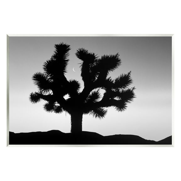 Stupell Industries Monochrome Moonlit Desert Tree Landscape Photography Unframed Art Print Wall Art