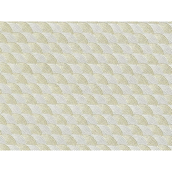 Pack of 1, Gold/Silver 24" x 833' Full Ream Roll Gift Wrap for Holiday, Party, Kids' Birthday, Wedding & Special Occasion Packaging