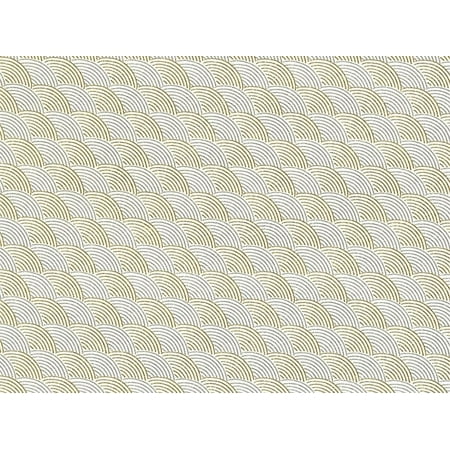 Pack of 1, Gold/Silver 30" x 833' Full Ream Roll Gift Wrap for Holiday, Party, Kids' Birthday, Wedding & Special Occasion Packaging