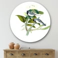 thumbnail image 2 of Designart 'Vintage Countryside Birds On Branch I' Farmhouse Circle Metal Wall Art 36x36 - Disc of 36, 2 of 5