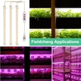 thumbnail image 4 of Matsuzay Tiras de luz LED para cultivo USB, Control de cable ABS, Phytolamp, espectro completo ajustable, vida IP20, resistente al agua para invernadero Jardín y Patio Cuatro Cabezas Rojo Azul Matsuzay HA011849-09B, 4 of 6