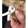 thumbnail image 2 of 4-Piece Dog & Cat Nail Clipper Set - 2 Sizes (Includes Small) with Safety Lock - Stainless Steel Pet Grooming Tools for Small, Medium Pets, 2 of 6