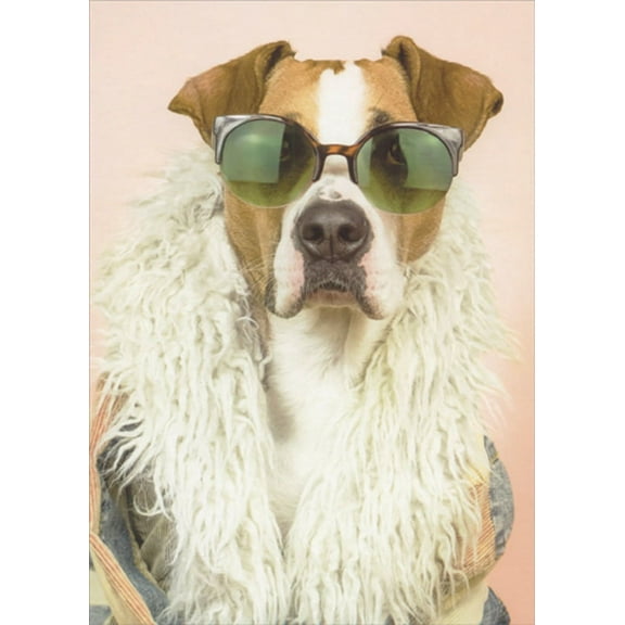 Designer Greetings Dog Wearing Green Sunglasses and White Scarf Funny / Humorous Birthday Card