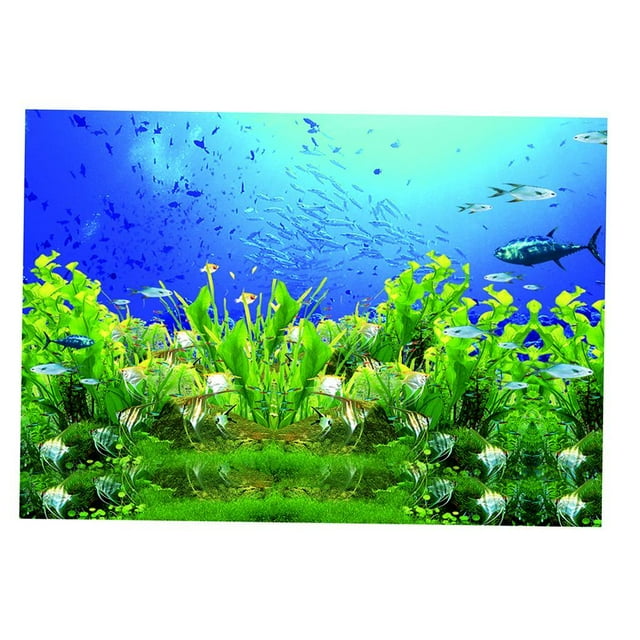Tachiuwa Single Side Adhesive Background Underwater World Picture for Aquarium Decor XL