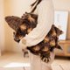 thumbnail image 5 of Animal de simulación realista que se rompe en La Tortuga, muñeco de peluche, almohada, decoración de la habitación, lindo bebé, niño, regalo de cumpleaños, compañero662, 5 of 5