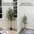 thumbnail image 6 of VINEWELL Home 6ft Olive Tall Faux Artificial Tree, 6 of 10