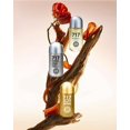 thumbnail image 3 of Fragancia Hybrid & Company Eau de Parfum para mujer, 3 piezas, 3 of 3