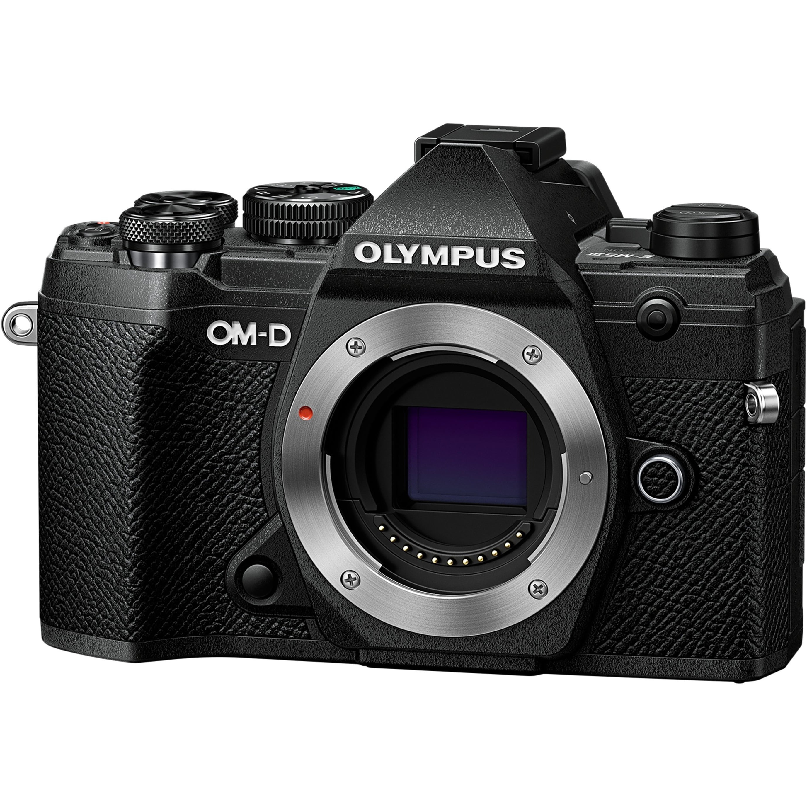 Olympus OM-D Olympus E-M5 Mark II (Silver) (Body Only) - Walmart.com