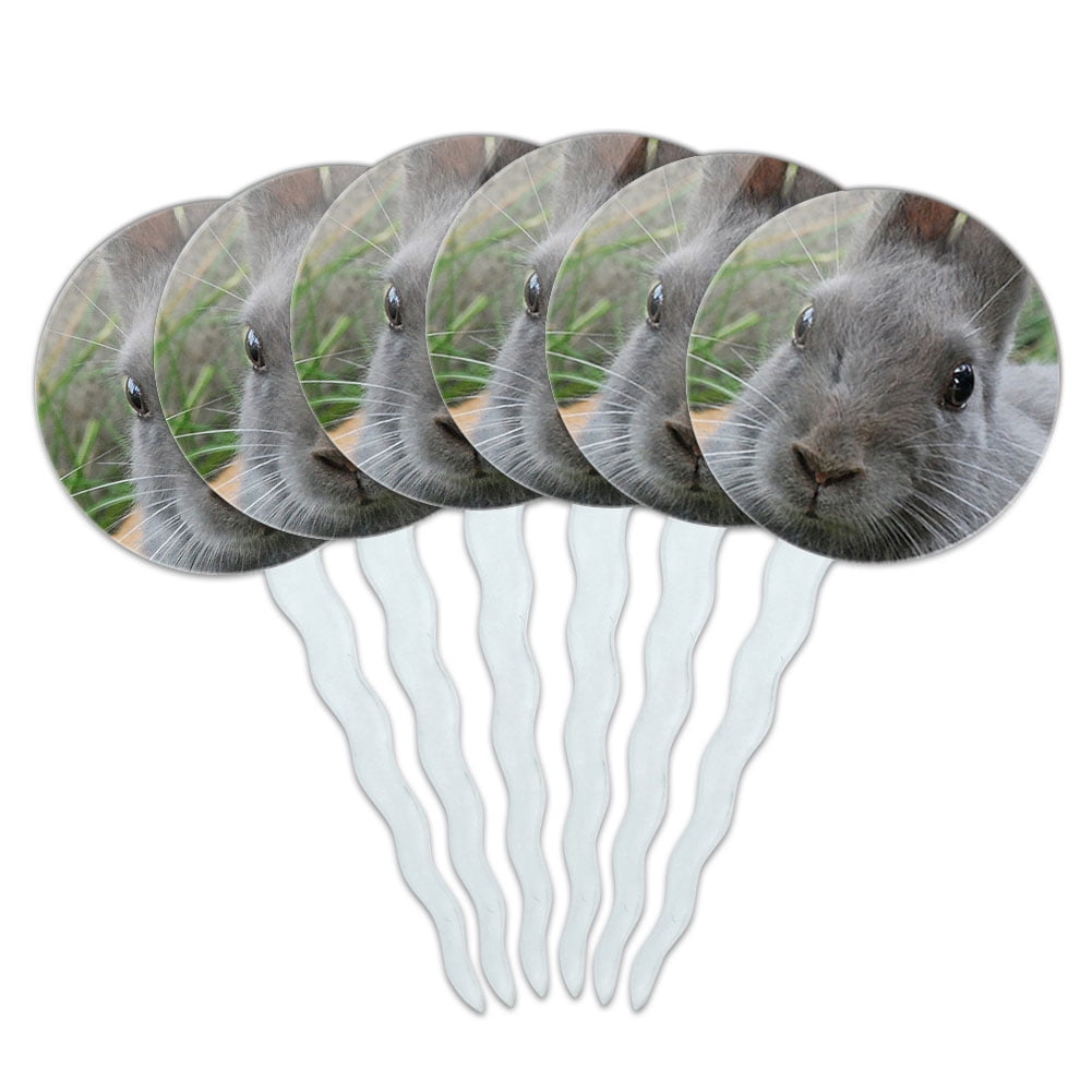 Bunny Rabbit Gray Easter Cupcake Picks Toppers - Set of 6 - Walmart.com