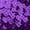 Purple, variant on Shorts For Women Women's Sequins Elastic Waist Sparkly Straight Leg Glitter Hot Pants Sequin For Women Shorts