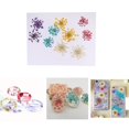 thumbnail image 3 of 10 piezas 1-2 cm de Ammi majus seca prensada para resina joyería colgante caja del teléfono artes y manualidades accesorios de Gloria Flor seca, 3 of 9