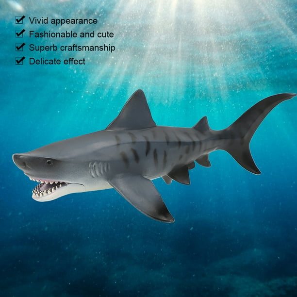 Figura de tiburón, modelo de tiburón, simulación de tiburón, modelo de tiburón marino, modelo educativo, muy recomendable