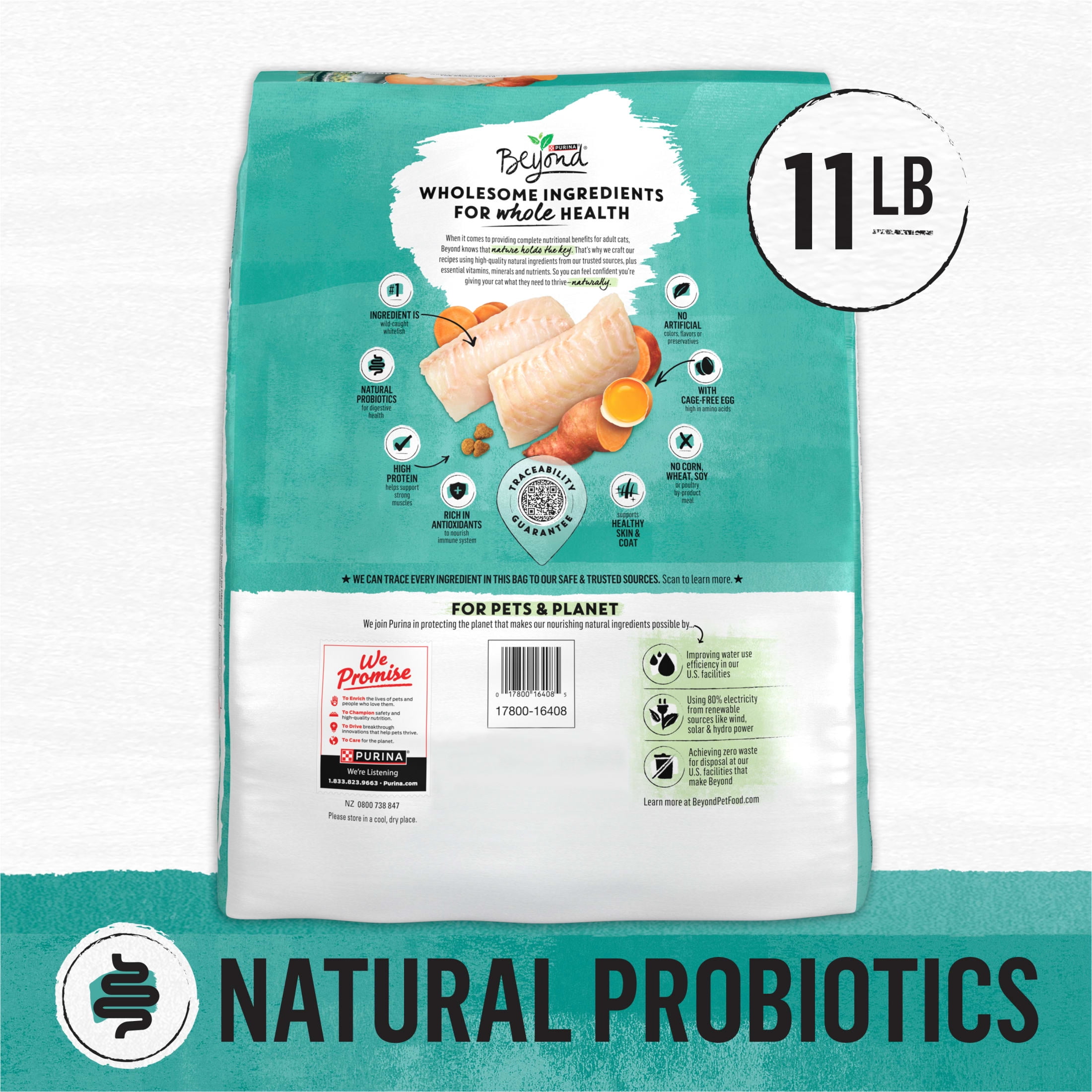 Purina Beyond Grain Free Wholesome Ingredients Dry Indoor Cat Food, Whitefish & Egg, 11 lb Bag