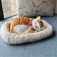 thumbnail image 3 of Dpityserensio Realistic Sleeping Breathing Furry Dog With Mat Animals Decor, 3 of 3