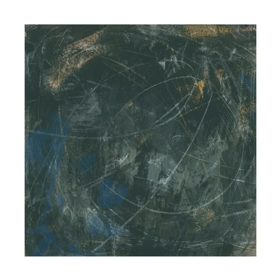 Trademark Fine Art June Erica Vess Midnight Constellation III Canvas Wall Art