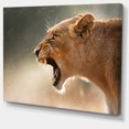 thumbnail image 2 of Lion Showing Dangerous Teeth - African Canvas Art Print, 2 of 3