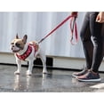 thumbnail image 3 of Kole Imports AG370 Fresh Pawz Monogram Hype Red Mesh Harness - Extra Small - Pack of 16, 3 of 8