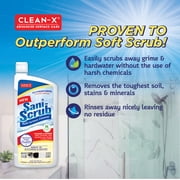 Sani-Scrub Multi Surface Cleanser & Stain Remover 24 oz (2 pack)
