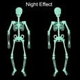 thumbnail image 3 of **Glow-In-The-Dark Halloween Skeleton Decorations**;**Rotatable Full Body Luminous Skeletons**;**Indoor-Outdoor Halloween Party Lighting**;** Plastic Halloween Yard Art**, 3 of 5