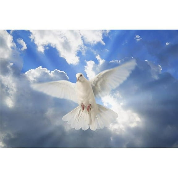 A Dove in The Sky Poster Print by Don Hammond, 17 x 11