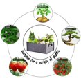 thumbnail image 5 of uds. Bolsas para plantar en jardín, bolsas para cultivo, bolsas grandes con asa, bolsas para cultivo para interior y exterior, plantas, 5 of 5
