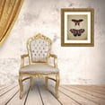 thumbnail image 3 of Allen, Kimberly 26x32 Gold Ornate Wood Framed with Double Matting Museum Art Print Titled - Newspaper Butterfly 2, 3 of 4