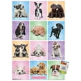 thumbnail image 1 of Keith Kimberlin - Puppies - Cuties Grid, 1 of 5