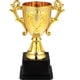 thumbnail image 1 of BRIGHTFUFU Trofeo de plástico para niños Concursos de estudio de deportes creativos Ganador Premio juguete Trofeo para chicas de la escuela primaria de jardín de infantes, 1 of 1