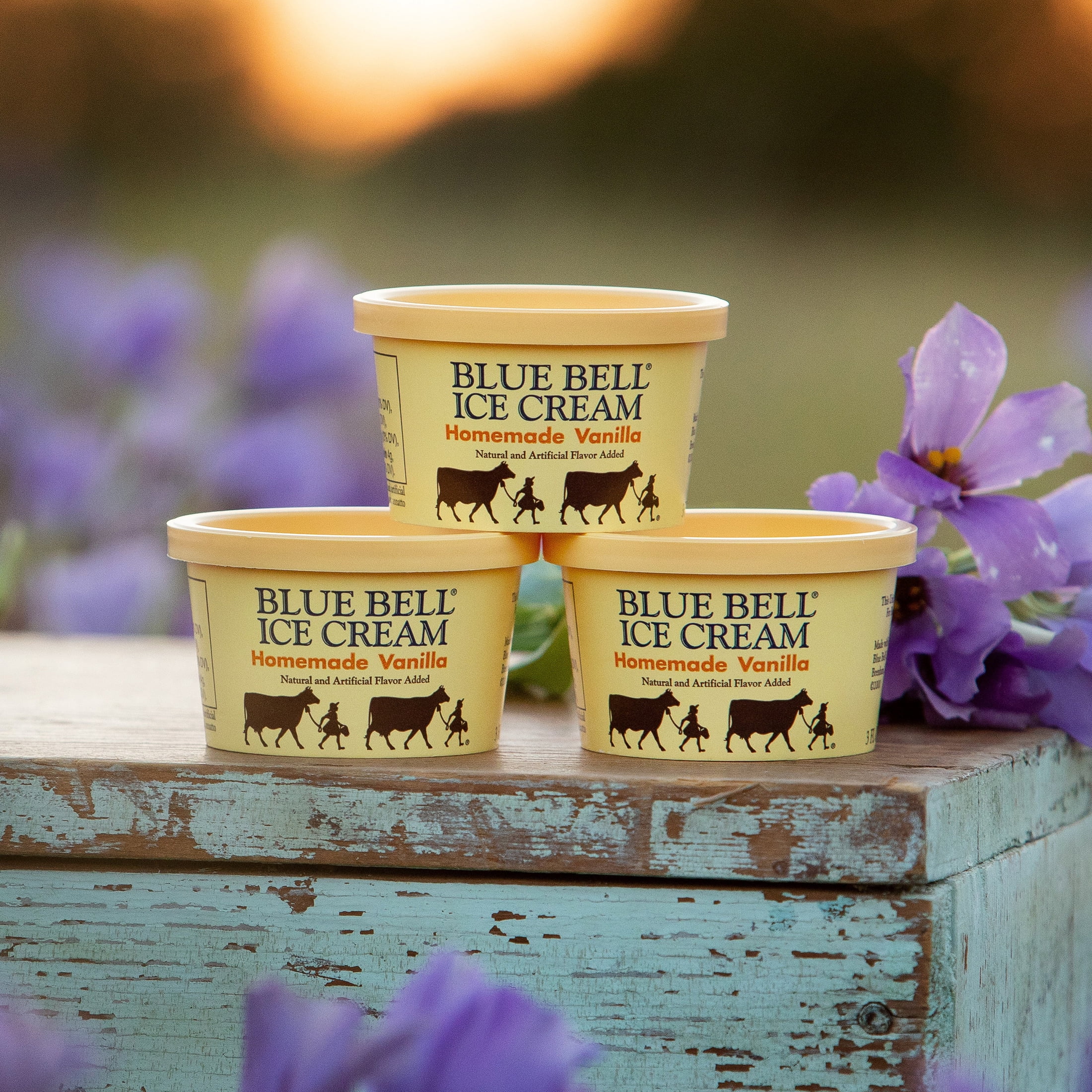 Blue Bell Homemade Vanilla Ice Cream Cups, 3.0 fl oz, 12 Count