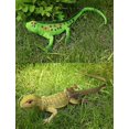 thumbnail image 5 of 4 piezas de simulación de lagarto grande, camaleón del desierto, juguete elástico de plástico de 14 pulgadas de largo, lagarto, 5 of 5