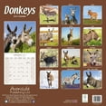 thumbnail image 2 of Donkeys 2021 Wall Calendar, 2 of 3