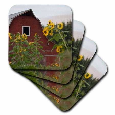 3dRose Canada, Vancouver Island. Sunflowers in front of a red barn, Glenora - Soft Coasters, set of