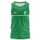 thumbnail image 4 of CAMISETA DE RUGBY CONMEMORATIVA DE MICHAEL COLLINS DE IRLANDA DE 1916 (NOMBRE Y NÚMERO PERSONALIZADOS), 4 of 5