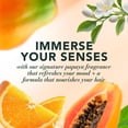 thumbnail image 4 of Herbal Essences Amaya Papaya Strength Shampoo with Papaya + Citrus, 13.5 fl oz, 4 of 9