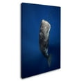 thumbnail image 2 of Trademark Fine Art 'Candle Sperm Whale' Canvas Art by Barathieu Gabriel, 2 of 3