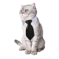 thumbnail image 2 of Conjunto de pajarita y corbata para mascotas, cuello formal ajustable Yosbabe, 2 of 7