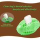 thumbnail image 4 of Palo de cepillo de dientes verde Jormftte LL-1699-2, 4 of 6