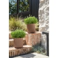 thumbnail image 3 of Veradek Demi Series Jardinière en Plastique-Pierre de 12 Pouces - Terre Cuite, 3 of 10